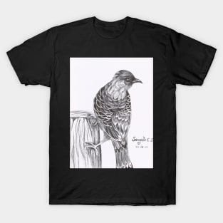 Bird pen art T-Shirt